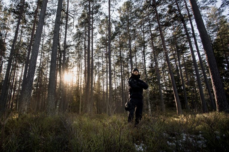 Metsätilakaupat: Myyjät saivat yli viidenneksen enemmän euroja kuin  pyysivät – Etelä-Suomessa hintalisä liki 35 prosenttia - Suomen  Sijoitusmetsät