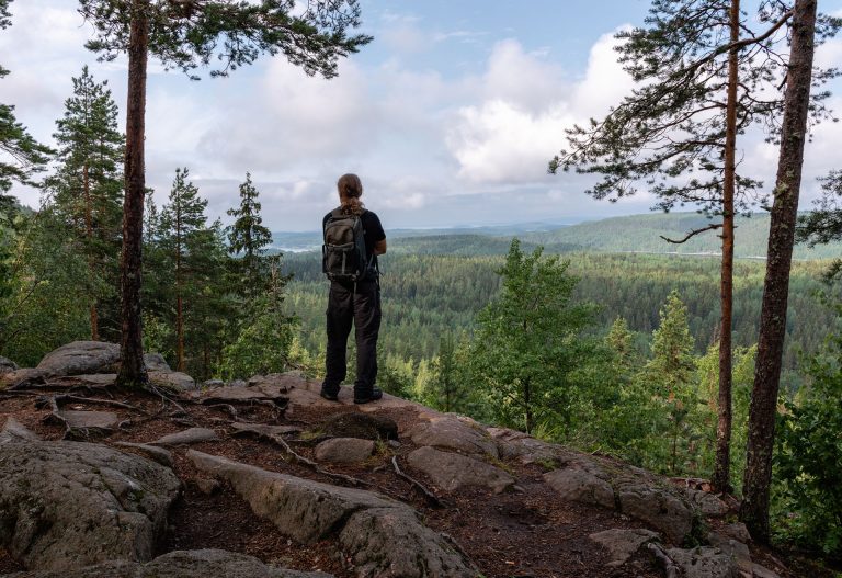 Asiakasreferenssi: Yhteismetsän omistaminen on sijoitus suomalaiseen  metsään - Suomen Sijoitusmetsät