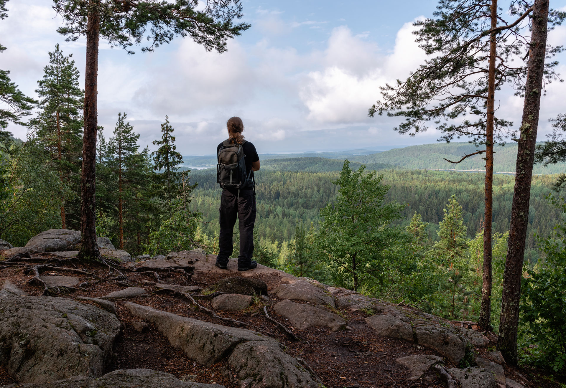 Asiakasreferenssi: Yhteismetsän omistaminen on sijoitus suomalaiseen metsään.