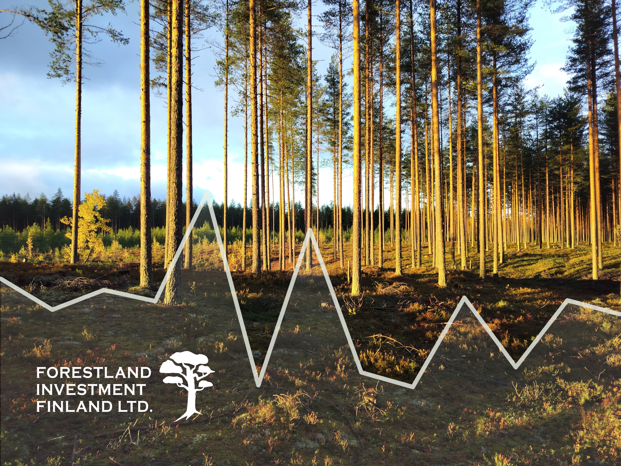 Total returns of forestland investments in Finland