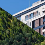 Forest investing or residential property investing