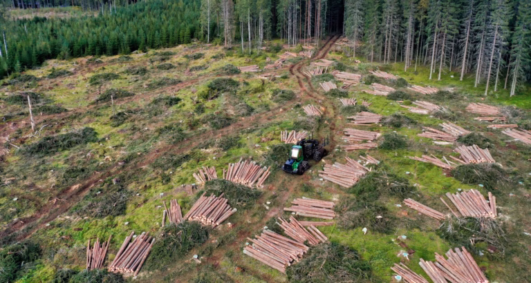 Metsäkone hakkuuaukealla