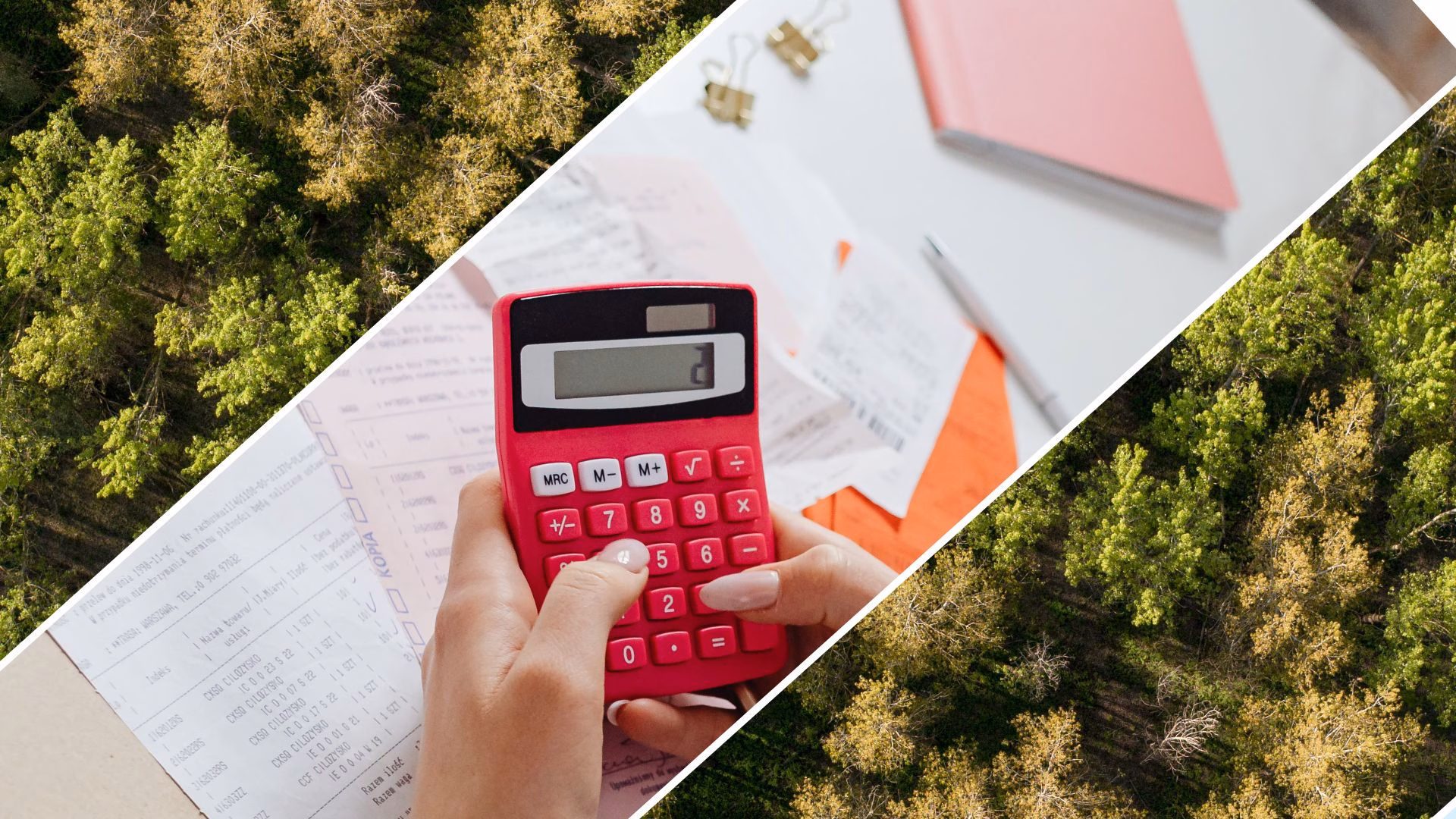 Metsän omistusmuotojen vertailututkimus