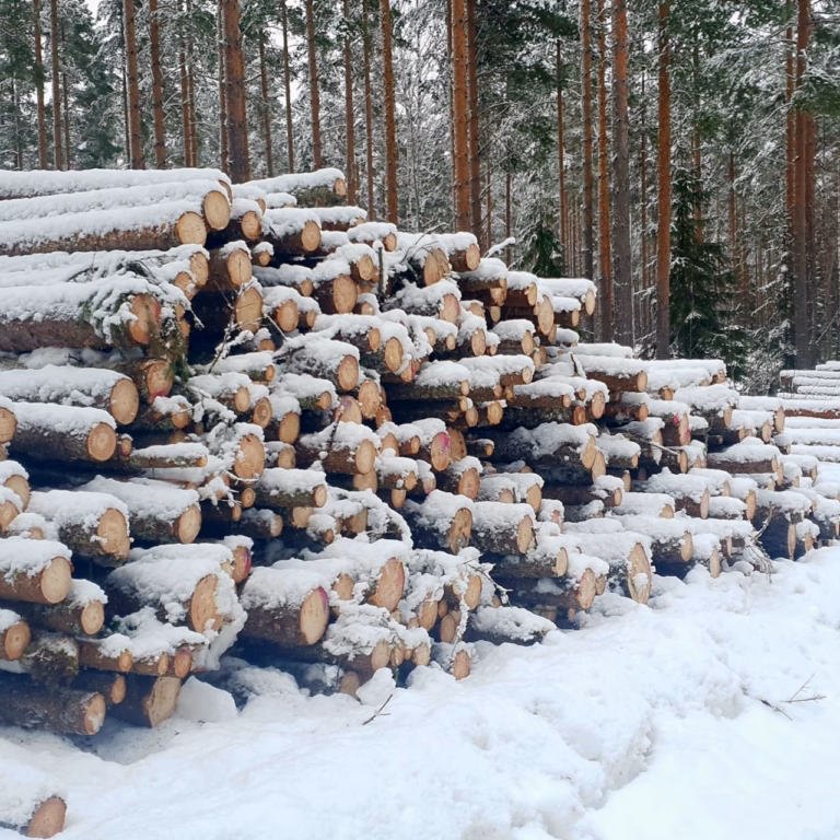 Forest investment risk management