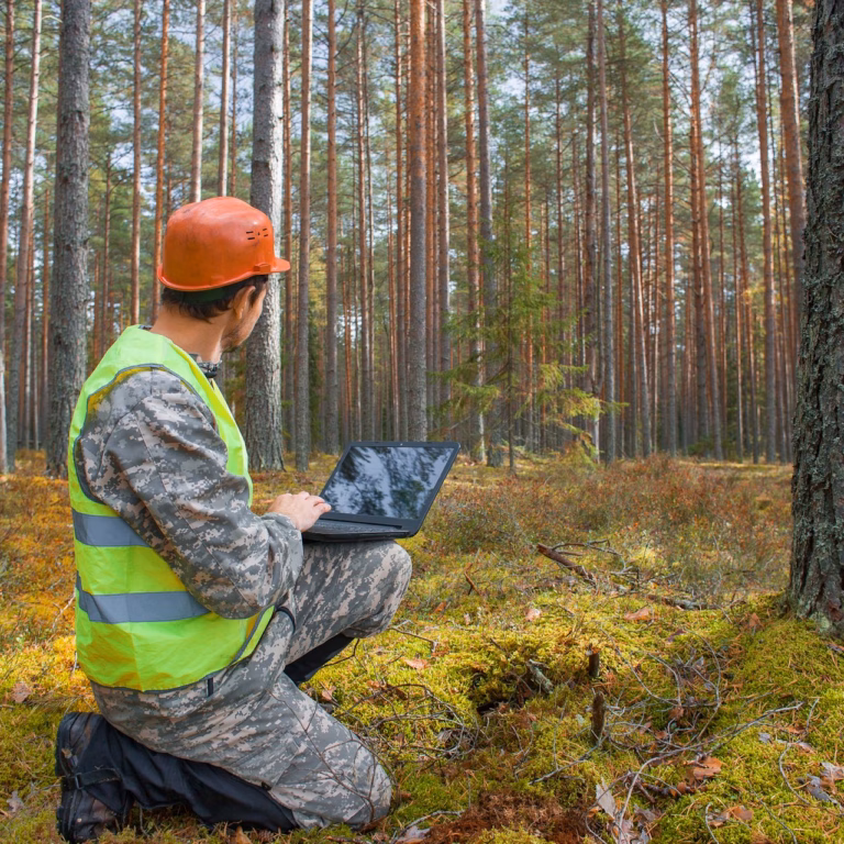 Forest property valuation in the field