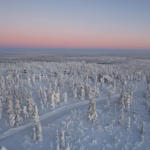Talvimaisema
