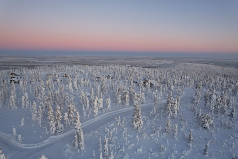 Winter landscape