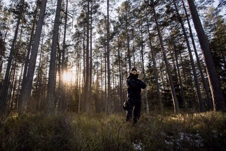 SSM metsäkiinteistöjen hinnat